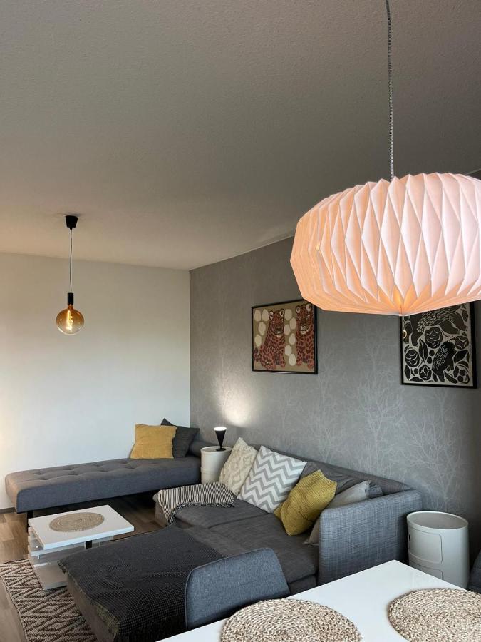 Peaceful City Center Apartment Рованиеми Экстерьер фото